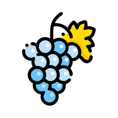 bunch of grapes vector illustration