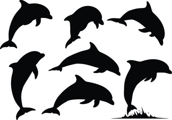 Obraz premium Collection of Dolphin Silhouettes Leaping, Swimming, Ocean Wildlife Illustrations