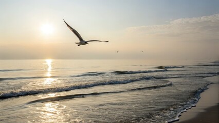 Naklejka premium A serene beach scene with a seagull flying over gentle waves at sunset.