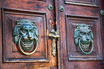 Wooden Door with Lion Knockers. Old detail