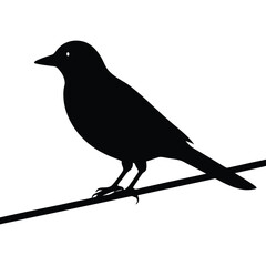 Black silhouette of a small bird perched on a thin wire against a white background