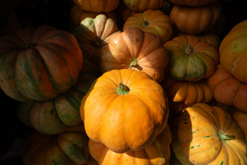 Group of yellow pumpkins together for sale at a traditional fair. Healthy food.