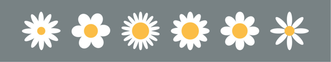 Flower chamomile vector icon. Cartoon camomile white retro spring floral icon design set