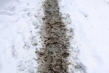Spring Thaw: Human Footprints Melting Snow Capturing Essence of Seasonal Transition.