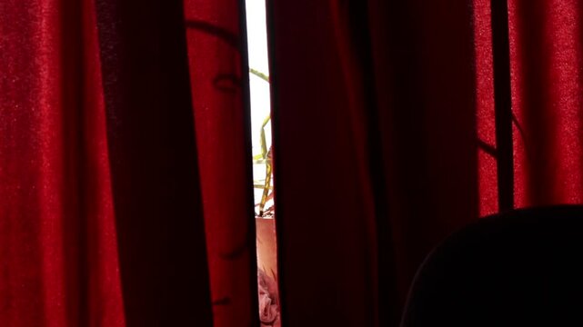 An aloe plant grows on the window sill, behind a red, swaying curtain. The outline of the plant can be seen through the curtain.