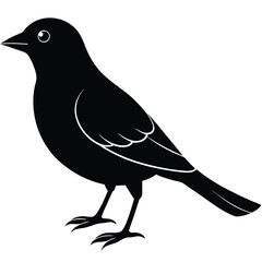 Simple black silhouette of a small bird with white accents on white background