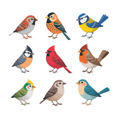 Fototapeta premium Set of vibrant birds in flat style on white background
