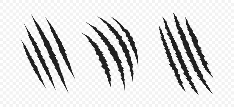 Scratch claw mark tiger bear paw icon. Animal lion slash claw vector wild monster shape design.