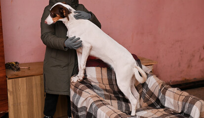 mongrel dog in the hands of a volunteer at a shelter for homeless dogs.