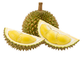 Spiky durian fruits with one open, showcasing the vibrant yellow flesh inside, are perfect for food blogs, tropical themes, or culinary designs isolated on white or transparent background. PNG
