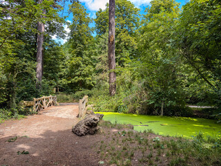 Street view of Bois de Vincennes, France