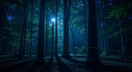 Fototapeta premium Mystical Forest with Towering Trees and Glowing Light in Dark Green Hues