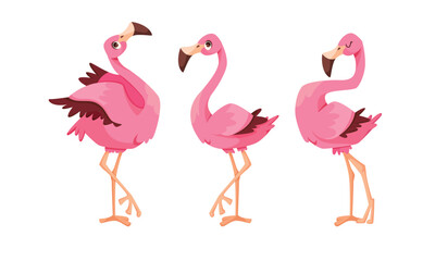 A Colorful Trio of Exquisite Flamingos, Illustrated in Vibrant and Lively Shades of Pink
