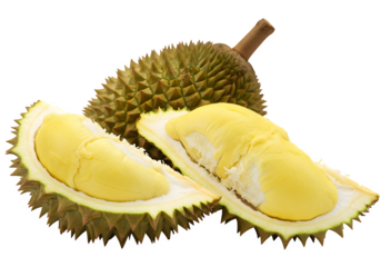 Spiky durian fruits with one open, showcasing the vibrant yellow flesh inside, are perfect for food blogs, tropical themes, or culinary designs isolated on white or transparent background. PNG