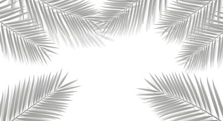 Gray Palm Leaves with Shadows on White Background