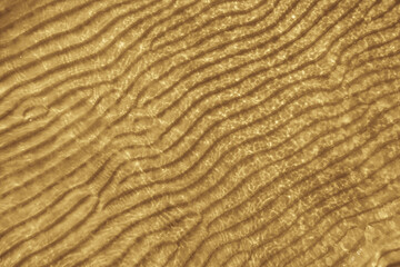 The image is of a sandy beach with a wave pattern in the water. The water is brown and the sand is golden. Scene is calm and serene, with the waves gently lapping at the shore