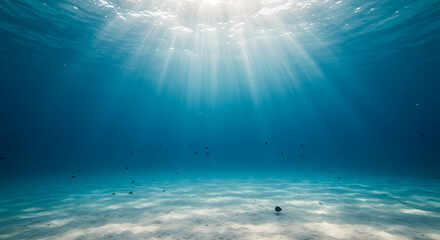 Fototapeta premium Sunlit Underwater Scene with Sandy Seabed and Small Fish.