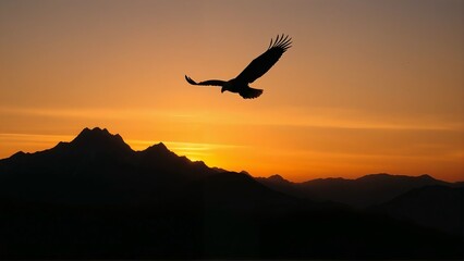 Naklejka premium Eagle flying over mountains at sunset nature wildlife bird of prey freedom