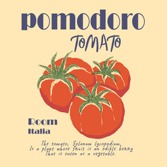 pomodoro room italia slogan. Tomato vegetable artwork for t shirt print, Tomato local farm. womes girls graphic tee. tomatoes art. Red tomato vintage t-shirt,