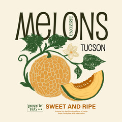 desert food fashion. arizona summer print graphics in vector. Arizona milons fruit print. arizona fruit print design. t shirt print in vector graphics.