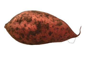 Moldy sweet potato with decaying skin, showcasing food spoilage and waste on clean transparent background