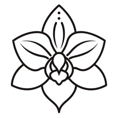 vector illustration of a flower