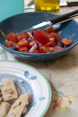 fresh tomato and onion salad with olive oil