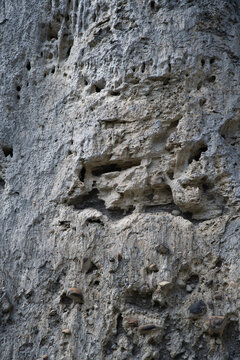 gros plan d'une roche des demoiselles coiff&eacute;es dans les hautes alpes