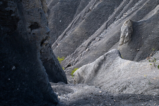gros plan des demoiselles coiff&eacute;es dans les hautes alpes en france