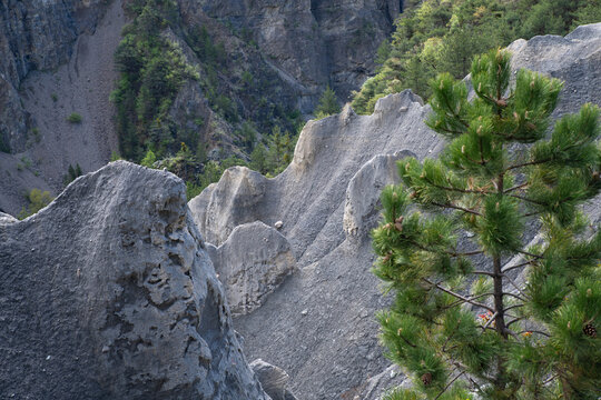 Demoiselles coiff&eacute;es &agrave; Th&eacute;us pr&egrave;s du mont colombis