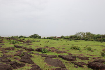 Goa is a state in western India with coastlines stretching along the Arabian Sea. Its long history...