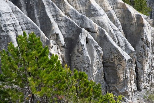 plan serr&eacute; sur les demoiselles coiff&eacute;es de Th&eacute;us