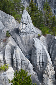 demoiselles coiff&eacute;es des hautes alpes