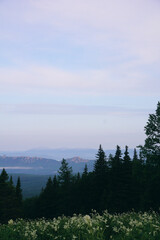 morning in the mountains