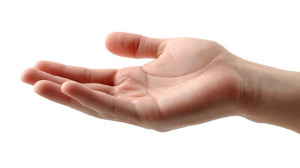 Open Hand Gesture: A close-up shot of an open hand, palm upward, suggesting offering, receiving, or giving.  The subtle details of the skin and hand's form are visible.