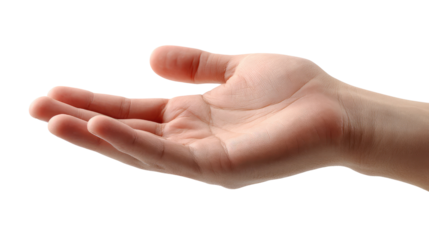 Open Hand Gesture: A close-up shot of an open hand, palm upward, suggesting offering, receiving, or giving.  The subtle details of the skin and hand's form are visible.