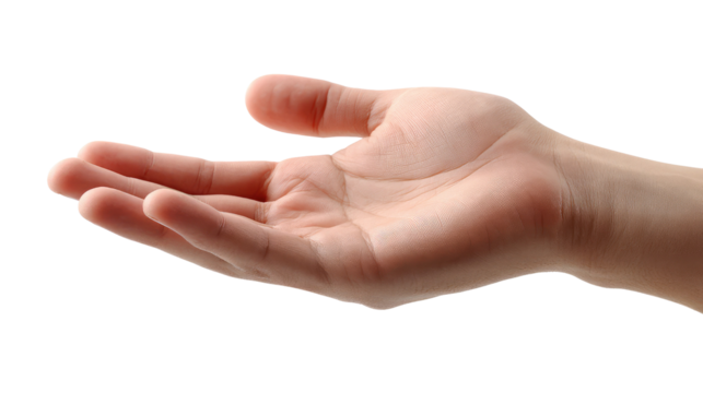 Open Hand Gesture: A close-up shot of an open hand, palm upward, suggesting offering, receiving, or giving.  The subtle details of the skin and hand's form are visible.