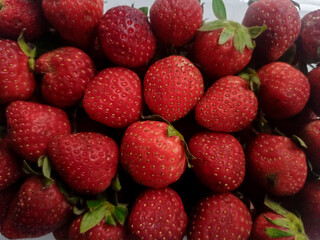 Plastic box full of strawberry between bushes on the farm. Harvest organic strawberry farm, berries
