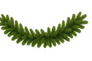 Verdant fir branches creating festive holiday garland, translucent backdrop highlighting seasonal greenery and decorative potential