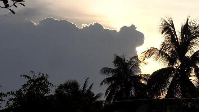Dark clouds blocking the sun  and creating a silver lining with some coconut tree in the foreground