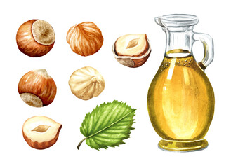 Hazelnut oil. Hand drawn watercolor illustration isolated on white background