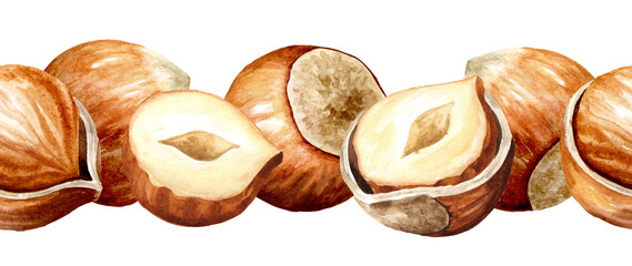 Hazelnut kernels. Hand drawn watercolor illustration , isolated on white background