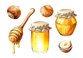 Sweet honey and hazelnuts set. Hand drawn watercolor illustration isolated on white background