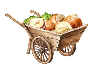 Wooden garden wheelbarrow cart with hazelnut kernels. Hand drawn watercolor illustration, isolated on white background