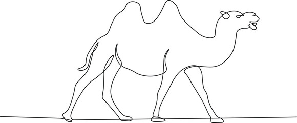 Camel in continuous line drawing style. Animal in black linear sketch isolated on white background. Vector illustration