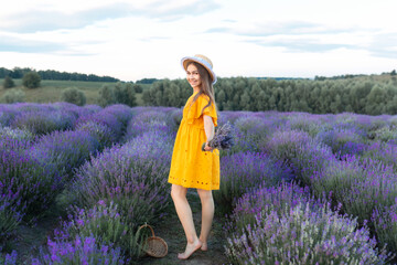 Beautiful young girl in straw boater hat and a yellow dress collects lavender on lavender field....