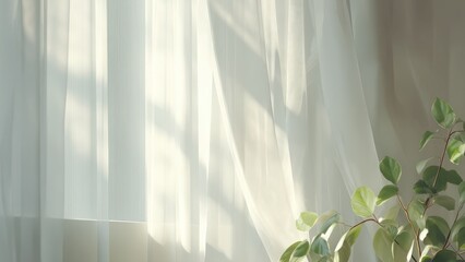 レースカーテン越しに差し込む光と観葉植物のある窓辺の写真