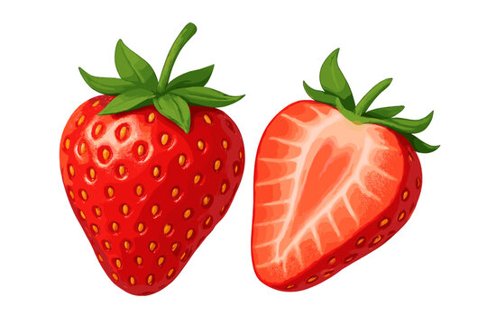 Realistic depiction of a whole strawberry and a sliced strawberry showcasing vibrant red color and detailed texture