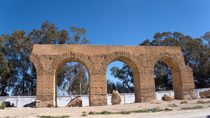 Remains of the old Roman aqueduct at Oudna, Tunisia