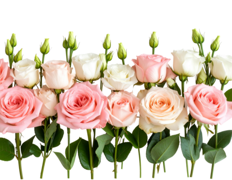 Minimal Linear Bouquet of Pink Rose and Eustoma Flowers with Green Leaves, isolated on transparent background PNG
